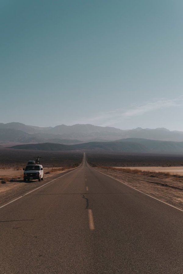 Où observer les guépards dans leur habitat naturel en Namibie ?